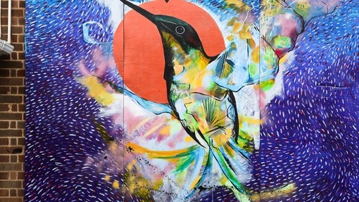 Student art work of a bright bird painted onto an exterior wall